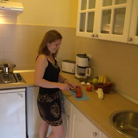 Apartment Fabini Mediaş